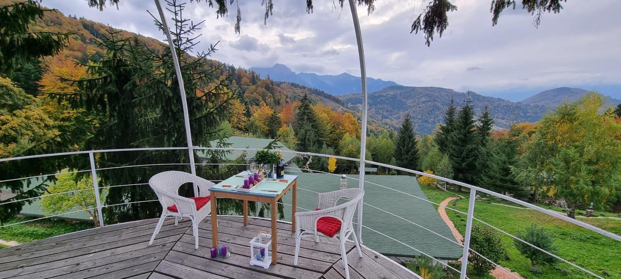 Harmonie Tree House Cotagges Chalet Predeal Trei Brazi Dış mekan fotoğraf