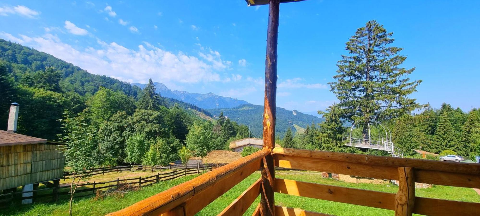 Harmonie Tree House Cotagges Chalet Predeal Trei Brazi Dış mekan fotoğraf