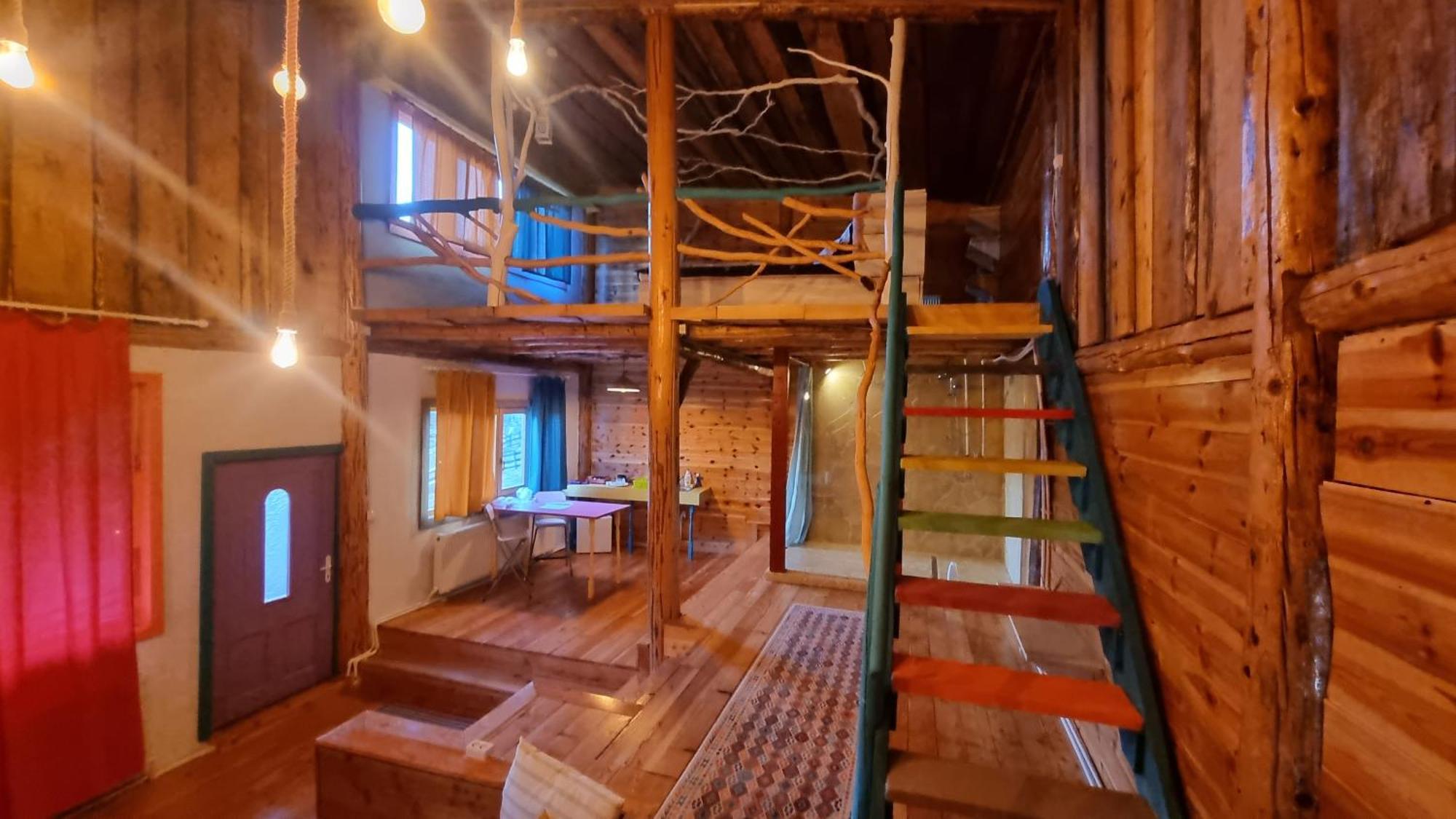 Harmonie Tree House Cotagges Chalet Predeal Trei Brazi Dış mekan fotoğraf