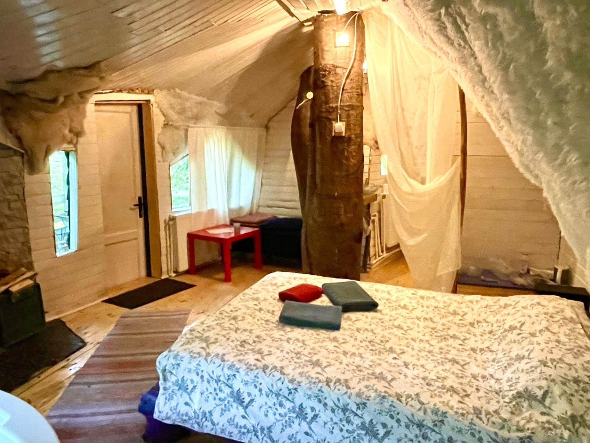Harmonie Tree House Cotagges Chalet Predeal Trei Brazi Dış mekan fotoğraf